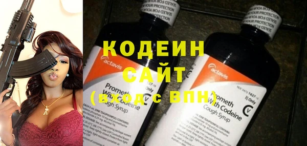 дживик Абаза