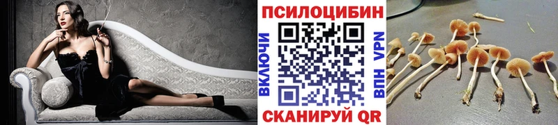 ОМГ ОМГ ссылка  Жигулёвск  Псилоцибиновые грибы GOLDEN TEACHER 